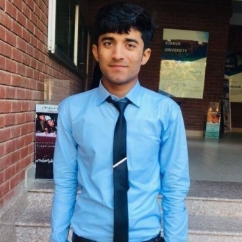 Javed Ali-Freelancer in Sukkur,Pakistan