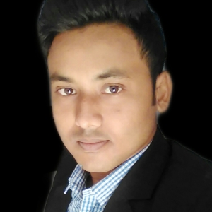 Firoz Hussain-Freelancer in ,India