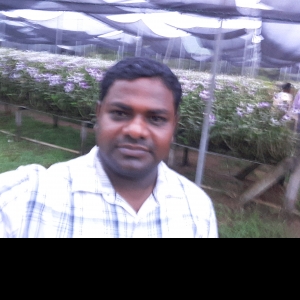 T Chakradhar Swamy-Freelancer in ,India