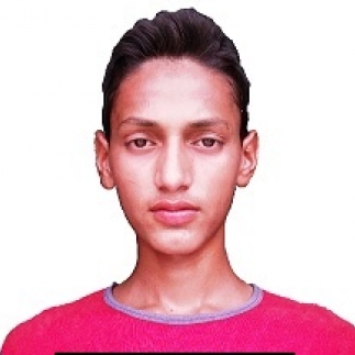 sahid khan-Freelancer in ,India