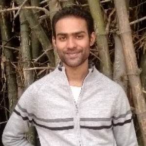 Raman Verma-Freelancer in ,India