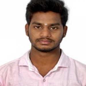 Ayyappa Mallipudi-Freelancer in Ramachandrapuram,India