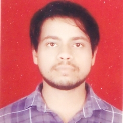 Bittu-Freelancer in Narnaul,India