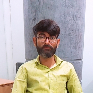 Alpesh Desai-Freelancer in ,India