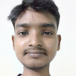 Ravi Kumar-Freelancer in ,India