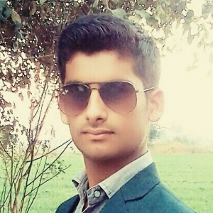 Wasim chandbhai shaikh-Freelancer in ,India