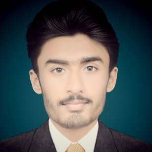 Aun Mohsin-Freelancer in Chiniot,Pakistan