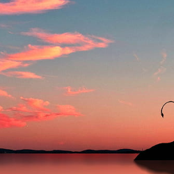 Tarunchowdary Sunkavalli-Freelancer in Hyderabad,India