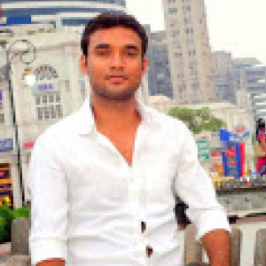 Sudhir Pandey-Freelancer in Noida,India