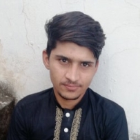 Arslan Iqbal-Freelancer in Bhimber,Pakistan