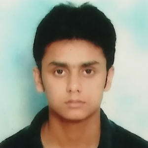 Bijoy Das-Freelancer in ,India