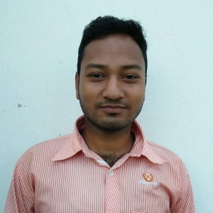 Subhajit Pal-Freelancer in ,India