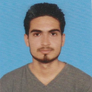Muhammad Aamir Mujeeb-Freelancer in Bahawalpur,Pakistan