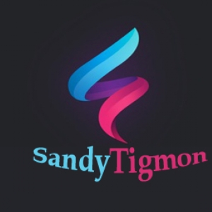 SandyTigmon-Freelancer in siliguri,India