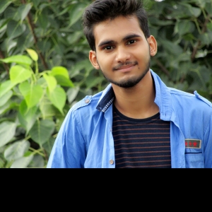 Ravi Mohan Awasthi-Freelancer in HARDOI,India