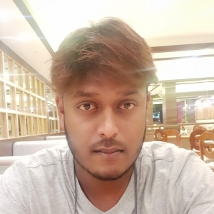 M Zulfiqar Ahamed-Freelancer in Bangalore,India