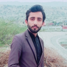 Muhammad Ahsan-Freelancer in Peshawar,Pakistan