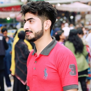 Hamza Ali-Freelancer in Gujrat,Pakistan