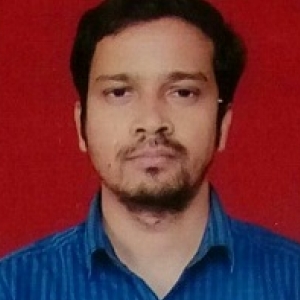 Dharmendra Kumar-Freelancer in New Delhi,India