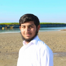 Junaid Malik-Freelancer in Karachi,Pakistan