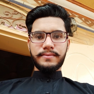 Muzammil Hussain-Freelancer in Multan,Pakistan