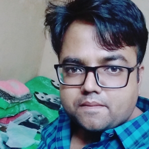 Sumit Kaushik-Freelancer in ,India