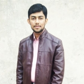 Muhammad Husnain-Freelancer in Faisalabad,Pakistan