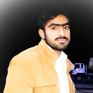Sajid Ali-Freelancer in Dera Allah yar,Pakistan