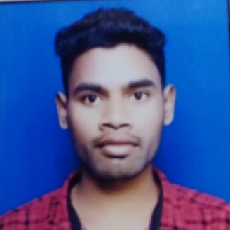Vinod Shyam-Freelancer in Raipur,India