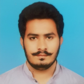 Shabeeh Naqvi-Freelancer in Lodhran,Pakistan