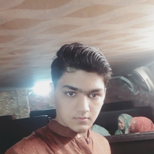 Touqeer Dar-Freelancer in Gujranwala,Pakistan