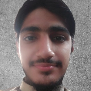 Tayyab Raza-Freelancer in Raiwind,Pakistan