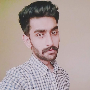 Syed Shahrukh Hussnain-Freelancer in Rawalpindi,Pakistan
