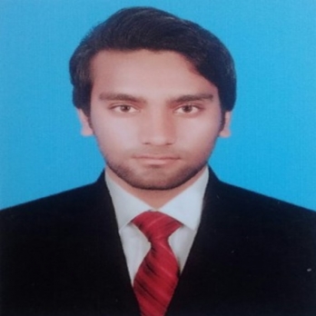 Anees Ahmed-Freelancer in Larkana,Pakistan