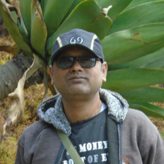 Partha Biswas-Freelancer in ,India