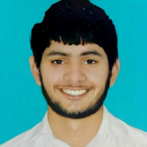 Ali Hamza Ranjha-Freelancer in Mandi Bahauddin,Pakistan
