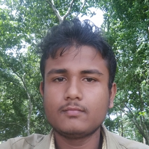 Abhishek Andia-Freelancer in ,India