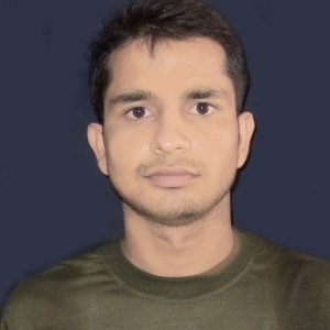 Raushan Kumar-Freelancer in bhagalpur,India