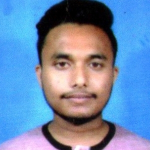 Ankur Hussain-Freelancer in Guwahati,India