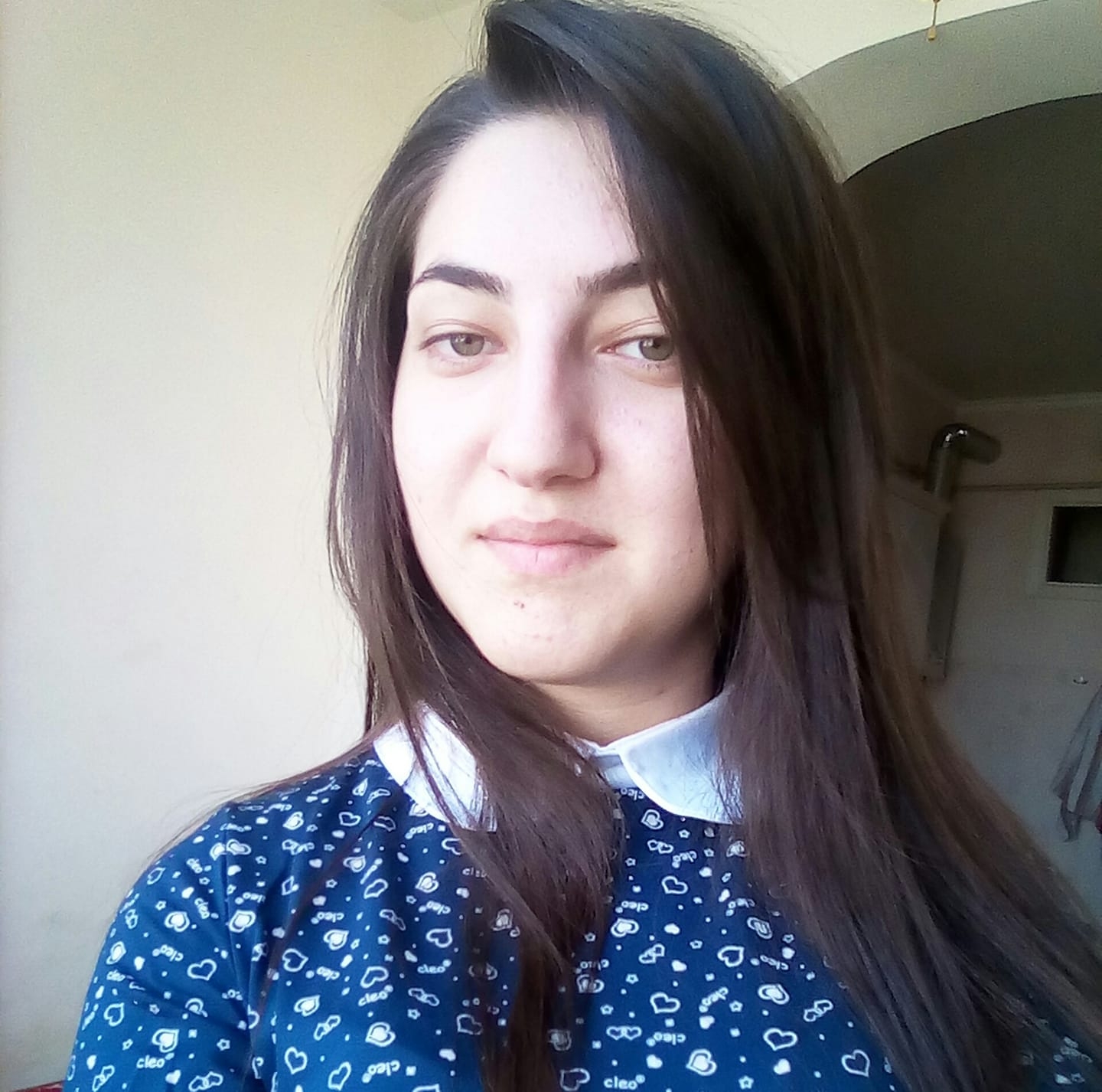 Ալվինա Գևորգյան-Freelancer in Gandzakar,Armenia