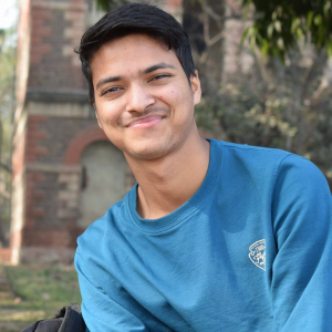 Faisal Jamil-Freelancer in New Delhi,India