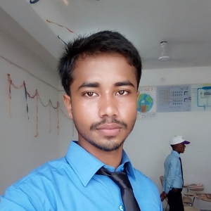 Raj Kumar-Freelancer in Patna,India