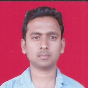 Pravin Kumar-Freelancer in ,India