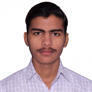 Rahul Kumar Soni-Freelancer in ,India
