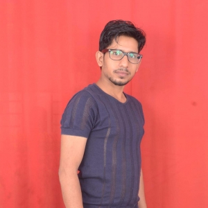 Ravi Kant Aditya-Freelancer in GHAZIABAD,India