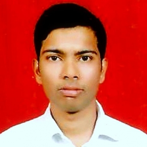 prasad Veer-Freelancer in ,India