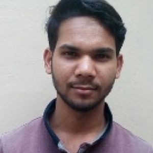 Ashok Yadav-Freelancer in Allahabad,India