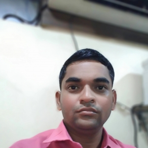 Avinash Kolambkar-Freelancer in Mumbai,India