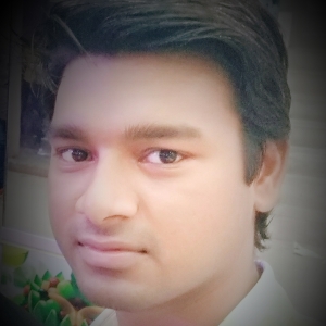 Vimlesh Kumar-Freelancer in Lucknow,India