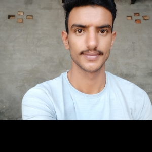 Rohit Kumar-Freelancer in Hisar,India